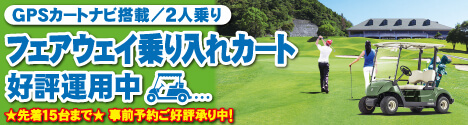2人乗りフェアウェイ乗り入れカート